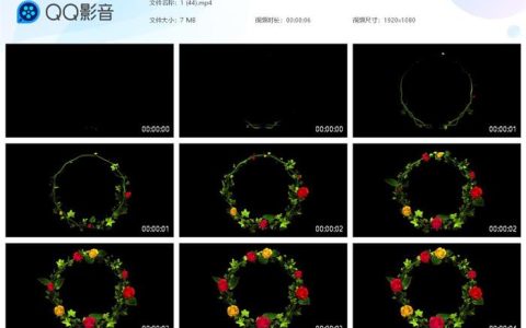 抖音花环关注片头片尾彩蛋视频