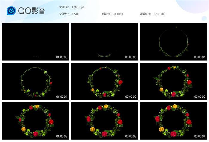 抖音花环关注片头片尾彩蛋视频