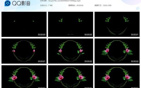 抖音花环圆圈关注片尾视频