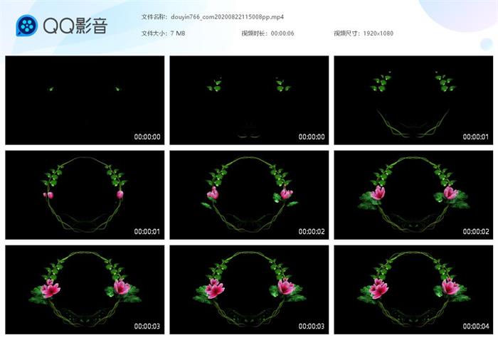 抖音花环圆圈关注片尾视频