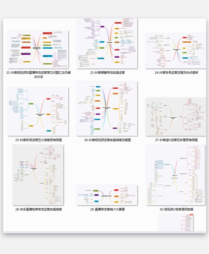 抖音网红电商主播运营讲师培训课件