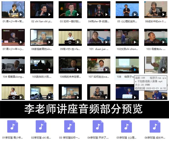 李玫瑾育儿讲座视频儿童教育心理学课程大全集