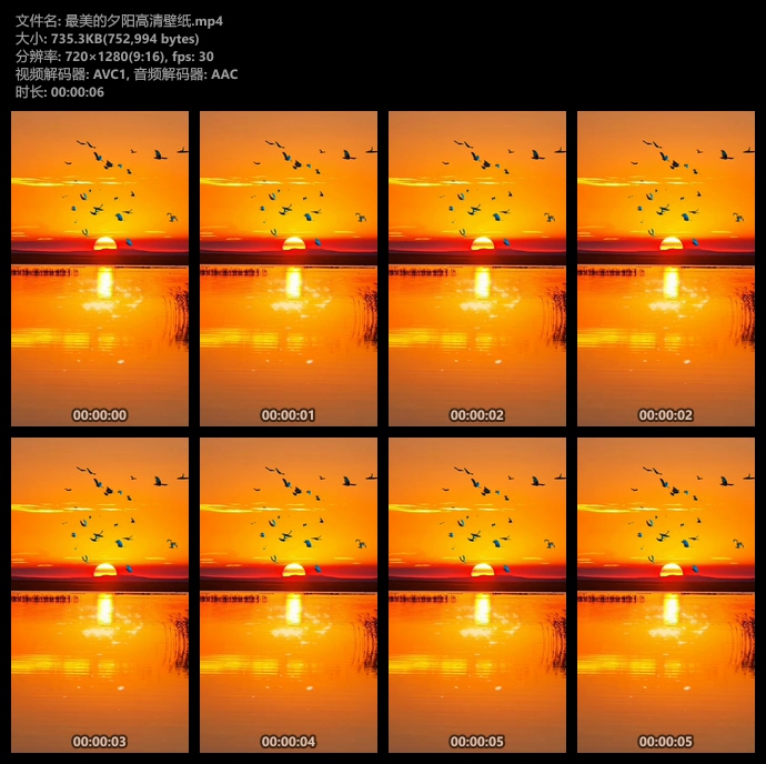 夕阳西下落日竖屏动态手机壁纸视频素材