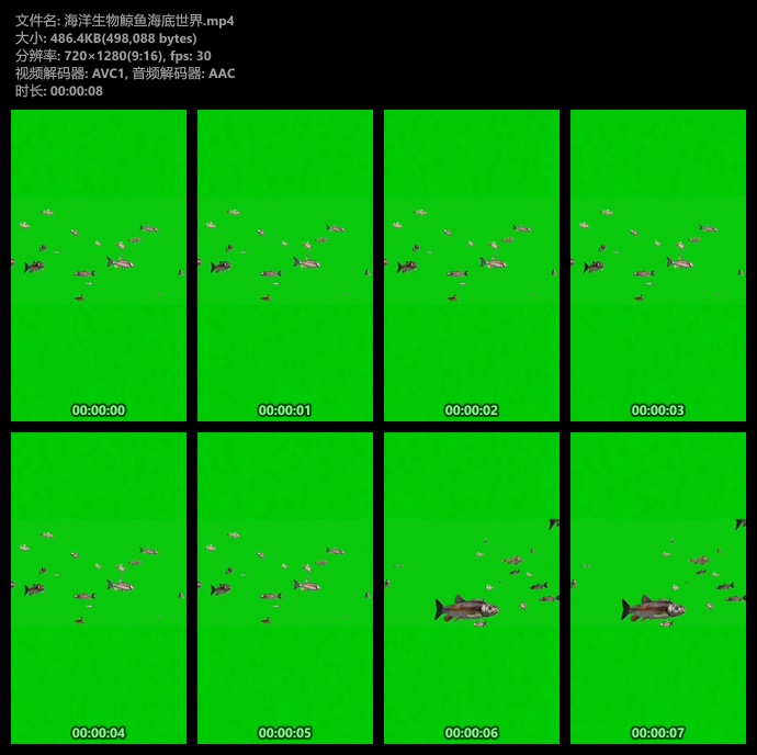 海洋生物绿幕视频素材