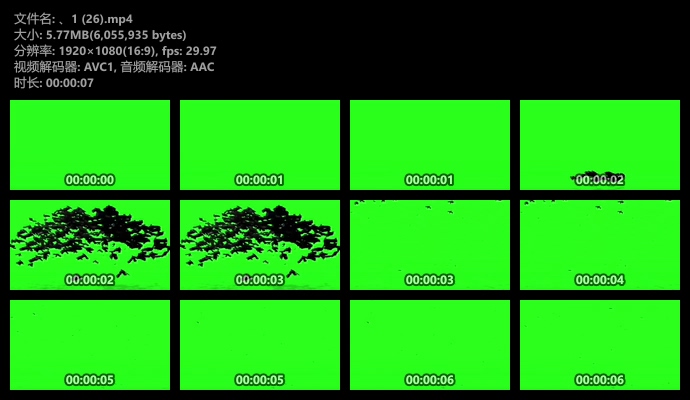 一群乌鸦飞走绿幕视频素材