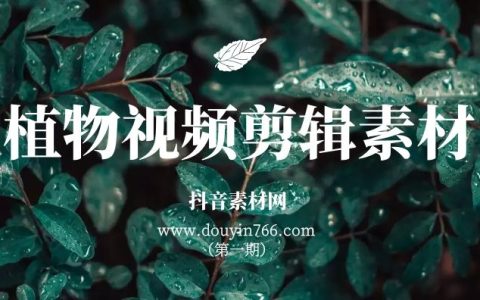 高清植物视频剪辑无字幕素材（第一期）