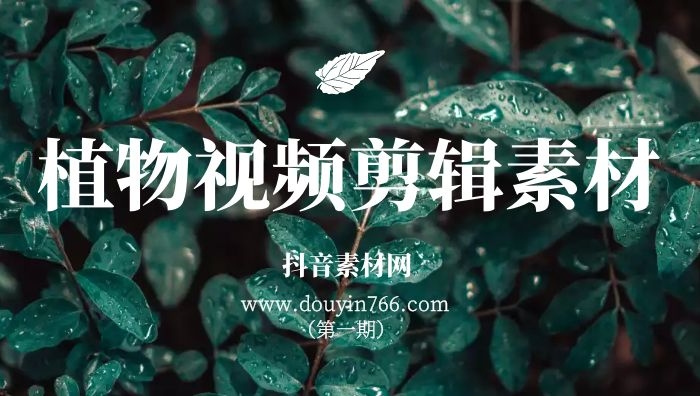 高清植物视频剪辑无字幕素材（第一期）