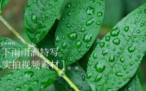 下雨雨滴实拍视频素材合集（1）