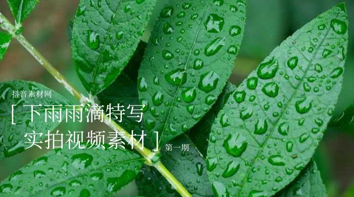 下雨雨滴实拍视频素材合集（1）