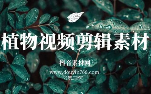 高清植物视频剪辑无字幕素材（第三期）