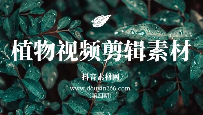 高清植物视频剪辑无字幕素材（第四期）