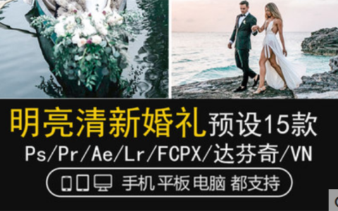 LR预设婚礼人像跟拍明亮清新美FCPX达芬奇PS手机APP滤镜PR调色LUT