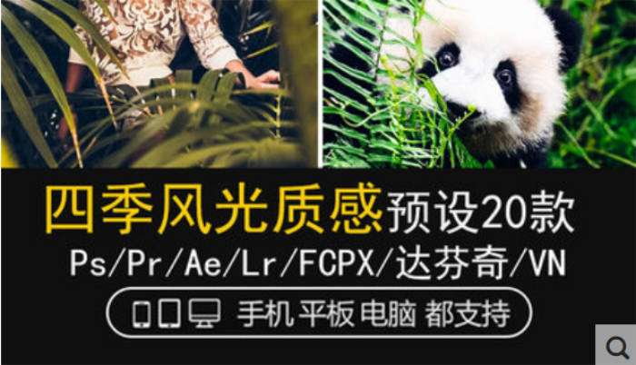 LR预设ins风光人像动物旅拍PS达芬奇FCPX手机版APP滤镜PR调色LUT