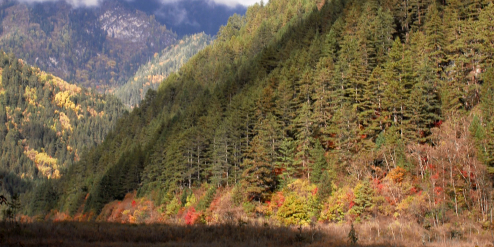 高山云雾风光视频素材