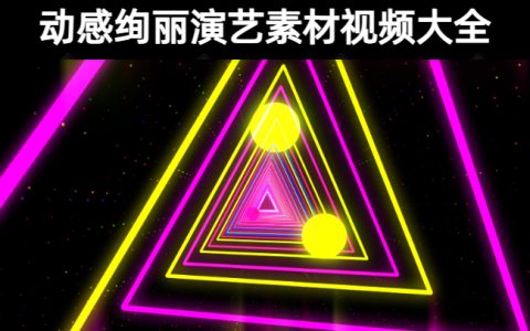 267款动感绚丽演艺素材视频大全