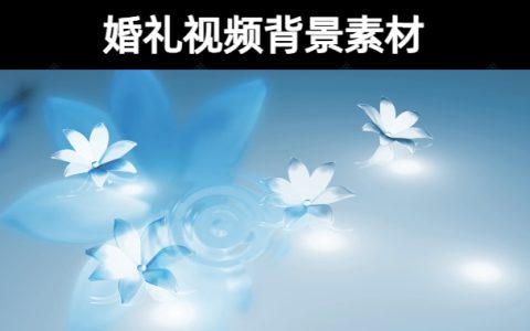 312款婚礼视频背景素材无水印