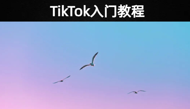 TikTok运营基础小白一学就会入门教程