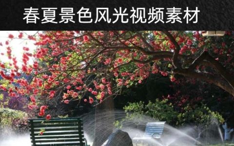 17款春夏景色优质唯美自然风光视频素材下载