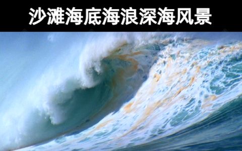 93款【无水印】实拍沙滩海底海浪深海风景动态视频素材