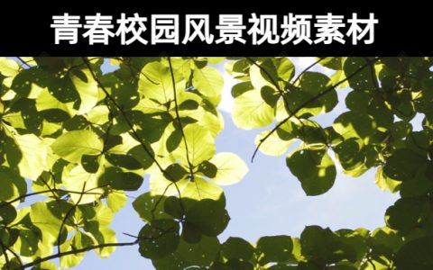 82款【LED视频无水印】浪漫唯美意境小清新青春校园风景视频素材