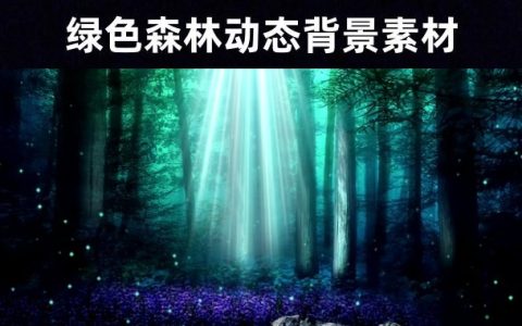 【绿林之秘】156款梦幻荧光绿色森林高清无水印动态视频素材