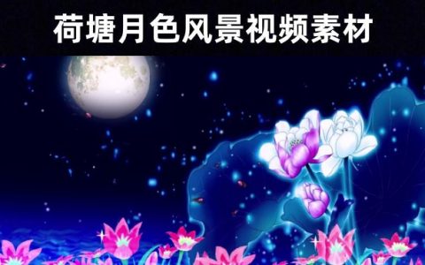 【剪辑师必备】精选71款夜色明月荷塘荷花美景无水印视频素材