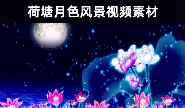 【剪辑师必备】精选71款夜色明月荷塘荷花美景无水印视频素材