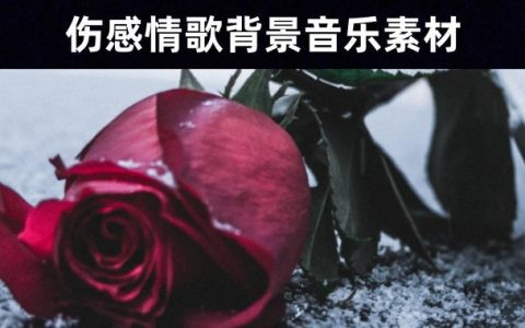 30首让人瞬间沦陷伤感情歌emo音乐素材