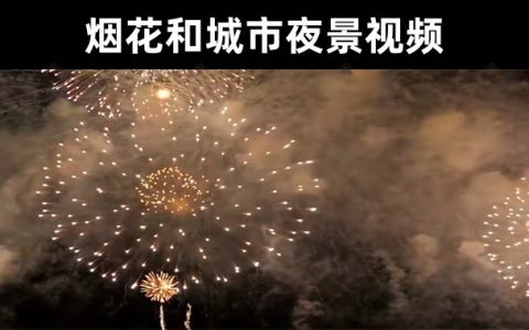 19款4K实拍漂亮的夜晚烟花和城市夜景高清视频素材无水印