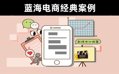 某公众号付费文章：一个人一个品月纯利润30万的蓝海电商经典案例