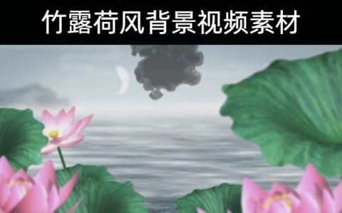 42款中国风水墨效果动画竹露荷风背景视频素材