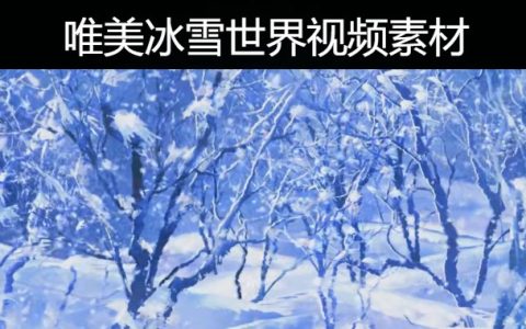 40款唯美冰雪世界雪景雪花飘雪风景粒子视频背景素材