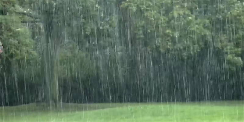 290款各类型真实下雨天气背景视频素材模板