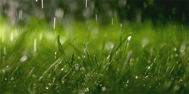 290款各类型真实下雨天气背景视频素材模板