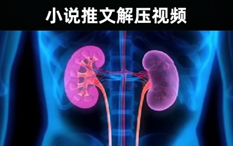 131款-小说推文解压视频素材