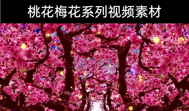 52款-桃花梅花系列视频素材下载