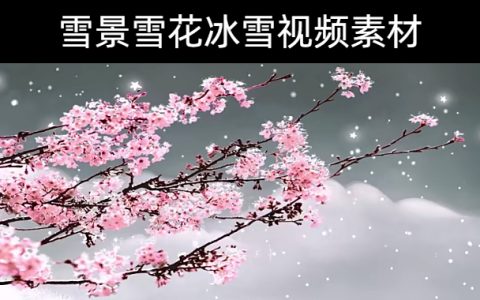 102款-雪景雪花冰雪视频素材下载