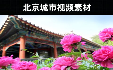 8款-中国北京城市视频素材