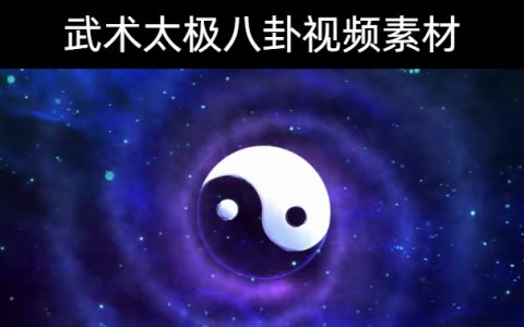 19款-武术太极八卦视频素材下载