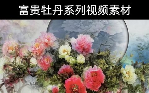 32款-富贵牡丹系列视频素材下载