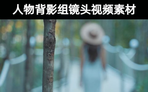 15款优质自然唯美人物背影组意境实拍镜头短视频素材