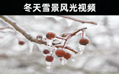 53款-冬天雪景风光短视频素材无水印下载 唯美下雪的视频素材无水印